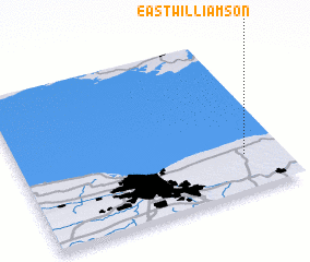 3d view of East Williamson
