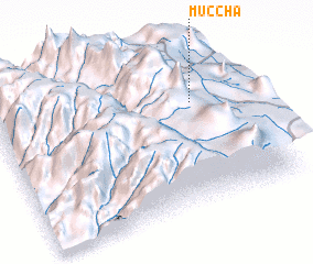 3d view of Muccha
