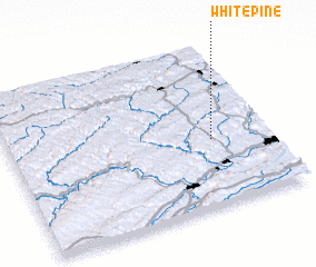 3d view of White Pine