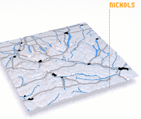 3d view of Nichols