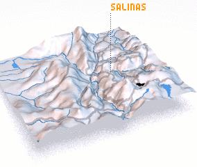 3d view of Salinas