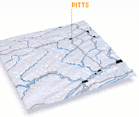 3d view of Pitts