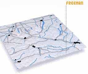 3d view of Freeman