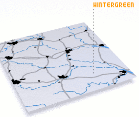 3d view of Wintergreen