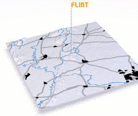 3d view of Flint