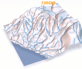 3d view of Congas