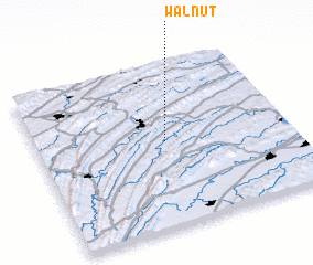 3d view of Walnut