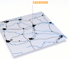 3d view of Savannah