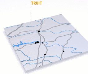 3d view of Truit