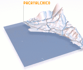 3d view of Pacayal Chico