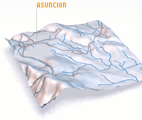 3d view of Asunción