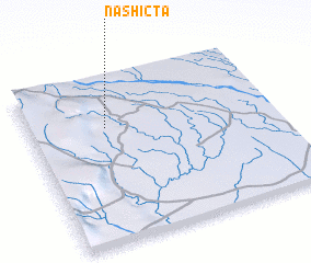 3d view of Nashicta