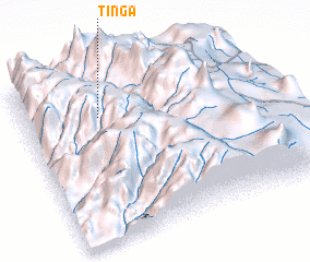 3d view of Tinga