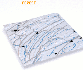 3d view of Forest