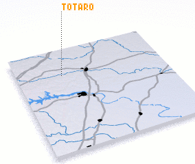 3d view of Totaro