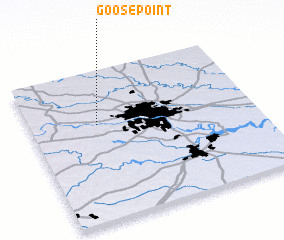 3d view of Goosepoint