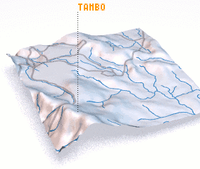 3d view of Tambo