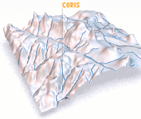 3d view of Coris