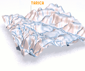 3d view of Tarica