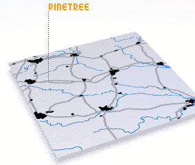 3d view of Pine Tree