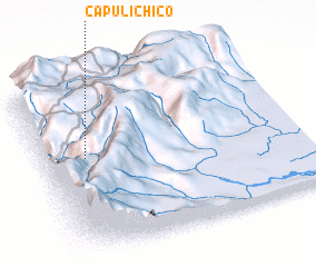 3d view of Capulí Chico