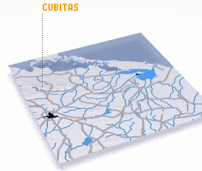 3d view of Cubitas