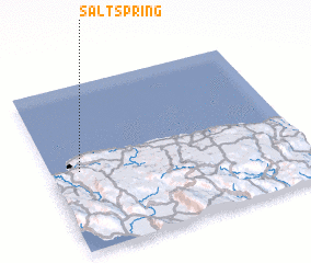 3d view of Salt Spring