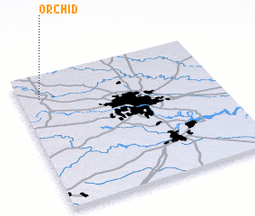 3d view of Orchid