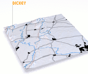 3d view of Dickey