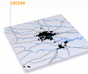 3d view of Cuckoo