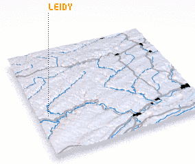 3d view of Leidy