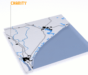 3d view of Charity