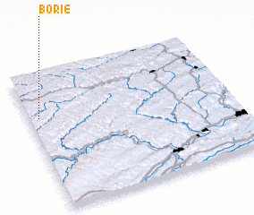 3d view of Borie