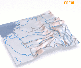 3d view of Cocal