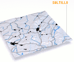 3d view of Saltillo