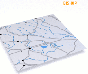 3d view of Bishop