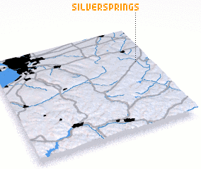 3d view of Silver Springs