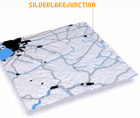 3d view of Silver Lake Junction