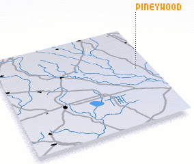 3d view of Piney Wood