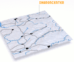3d view of Sharon Center