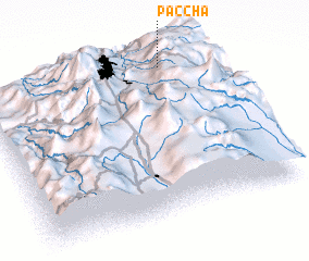 3d view of Paccha