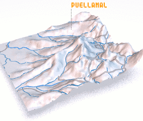 3d view of Puellamal