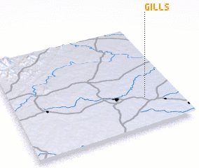 3d view of Gills