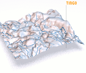 3d view of Tingo