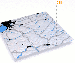 3d view of Obi