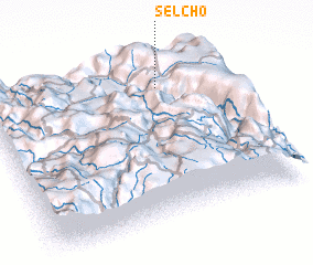 3d view of Selcho