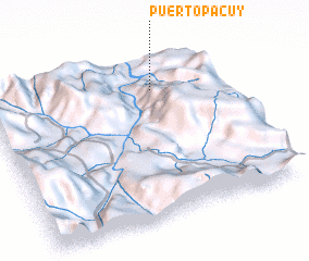 3d view of Puerto Pacuy