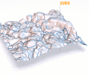 3d view of Suro