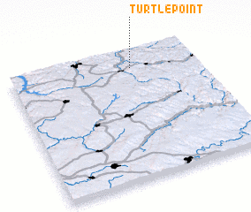 3d view of Turtlepoint