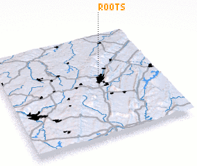 3d view of Roots